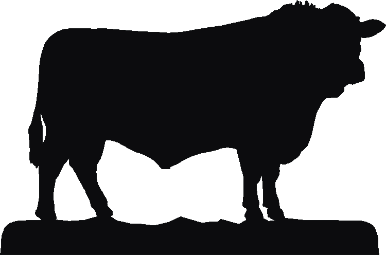 Sussex Bull Weathervane