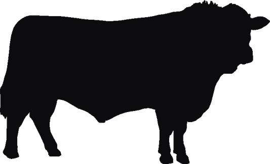 Sussex Bull Curtain Hook Backs