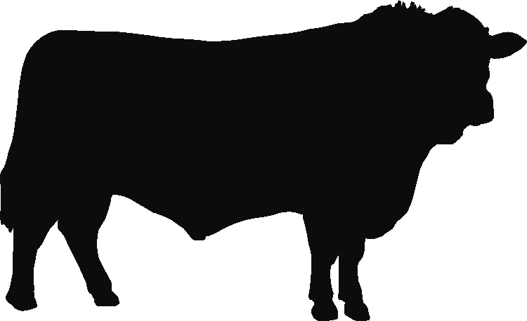 Sussex Bull Silhouettes