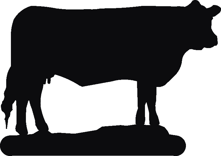 Sussex Cow Number Plates