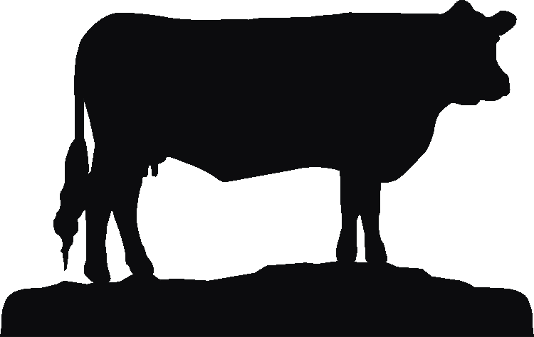 Sussex Cow Picture Plates