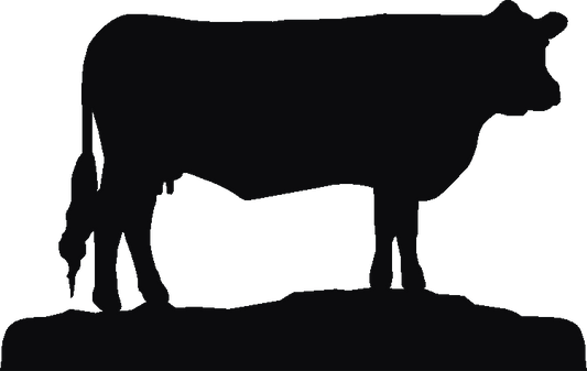 Sussex Cow Rosette Runner