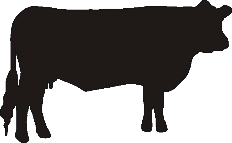 Sussex Cow Silhouettes