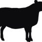 Texel Sheep Tall Tumblers
