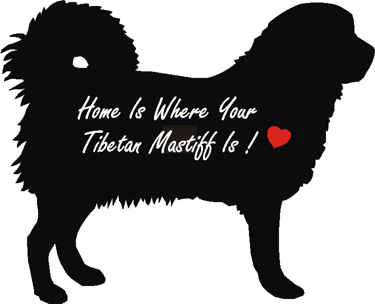 Tibetan Mastif Home Is...