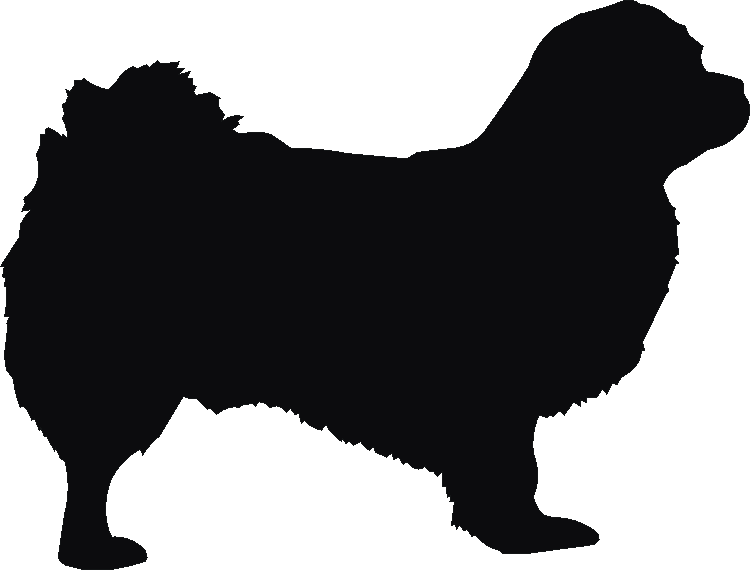 Tibetan Spaniel Silhouettes