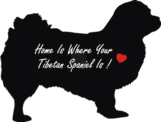 Tibetan Spaniel Home Is...