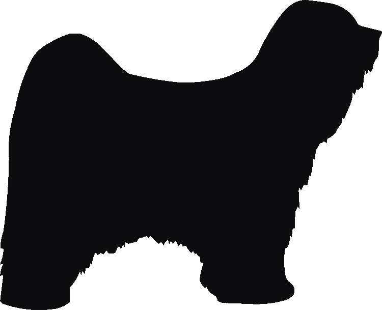 Tibetan Terrier Silhouettes