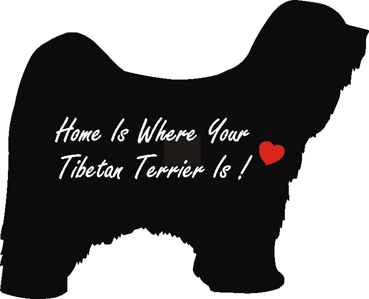 Tibetan Terrier Home Is...