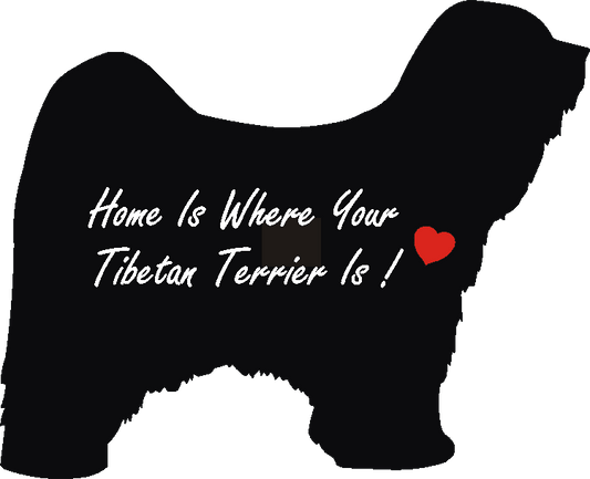 Tibetan Terrier Home Is...