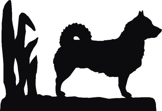 Valhund Rosette Runner