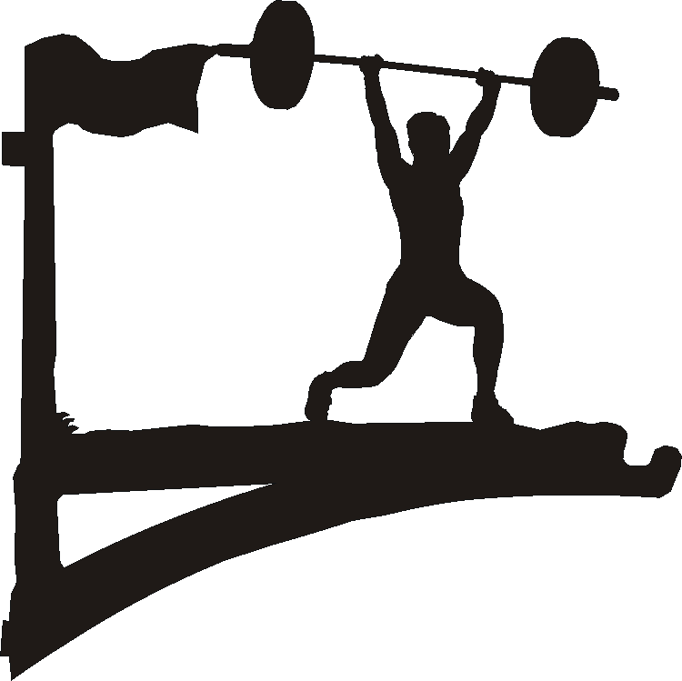 Weightlifting Hanging Brackets