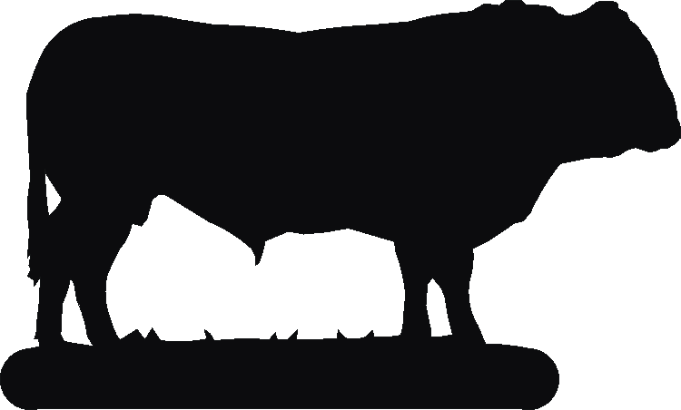 Cow Letter Rack Attractive and useful letter racks that is perfect for birthday present ...