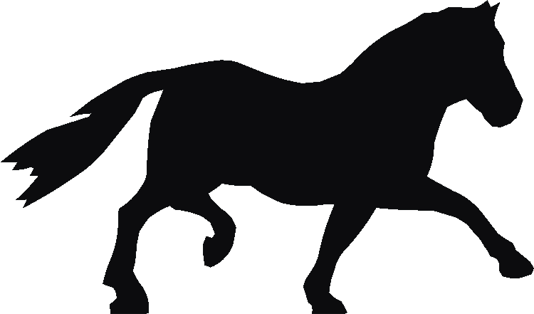 Welsh Pony Yorkshire Sign