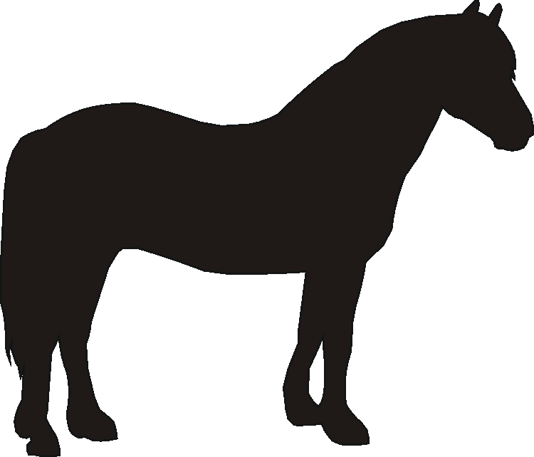 Welsh Section D Whirlies The Profiles Range