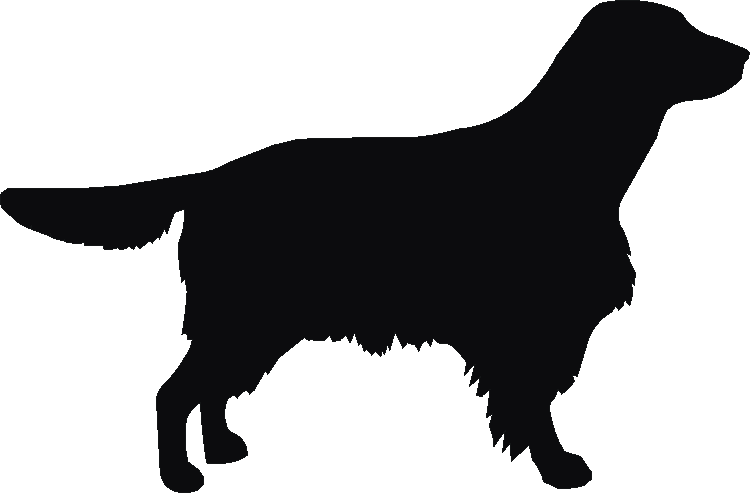 Welsh Springer Yorkshire Sign