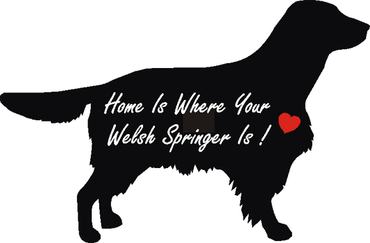 Welsh Springer Home Is...