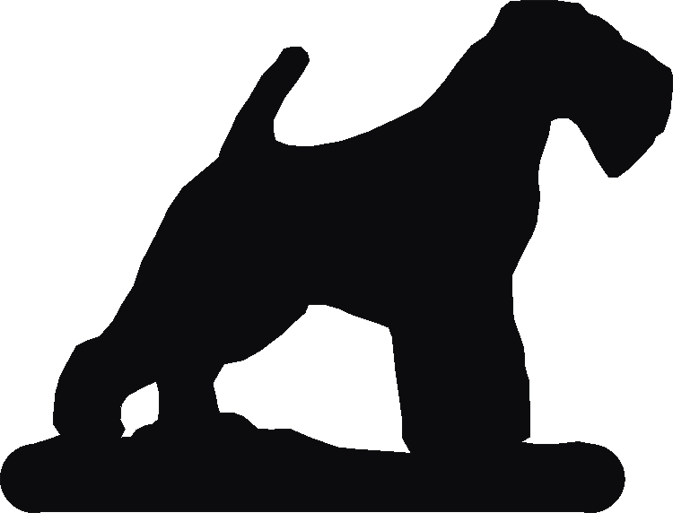 Welsh Terrier Hand Stand