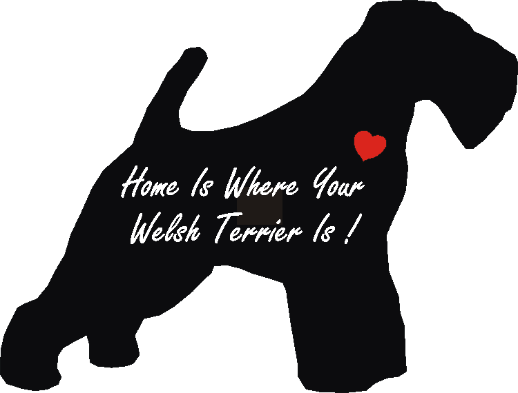 Welsh Terrier Home Is...