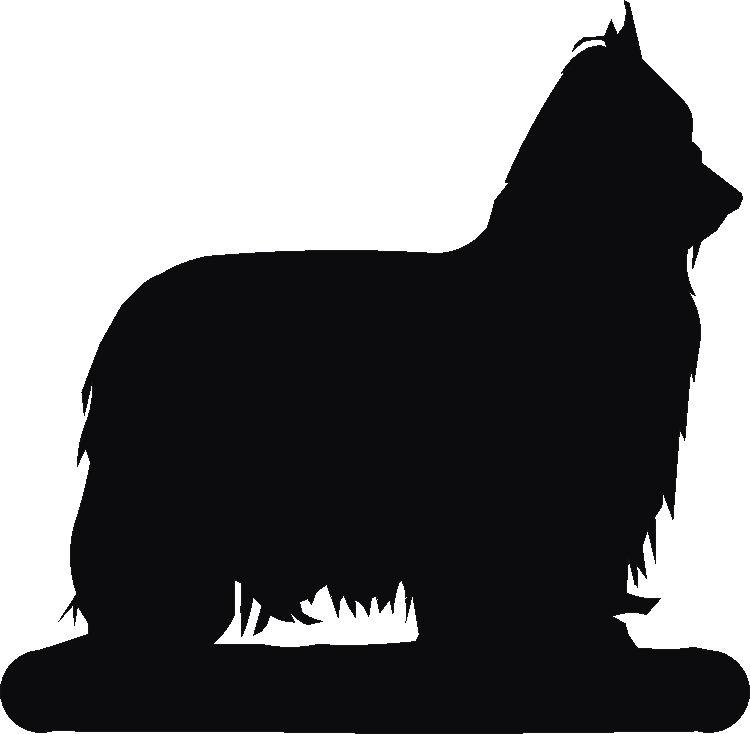 Yorkshire Terrier Post Top