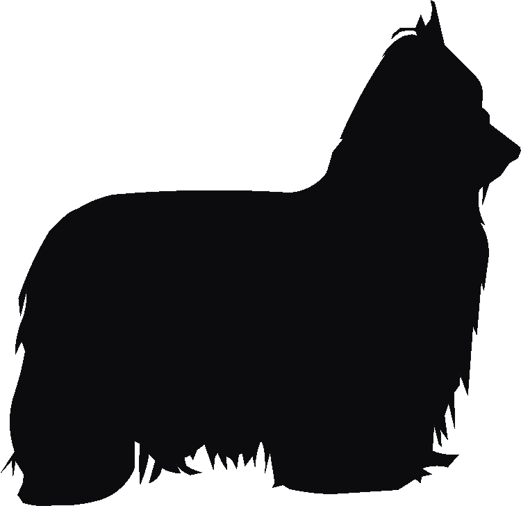 Yorkshire Terrier Silhouettes